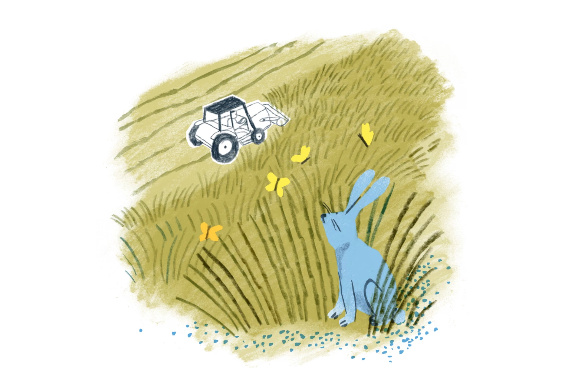 Study cover — Nature-based solutions insights - Five silent drivers of...