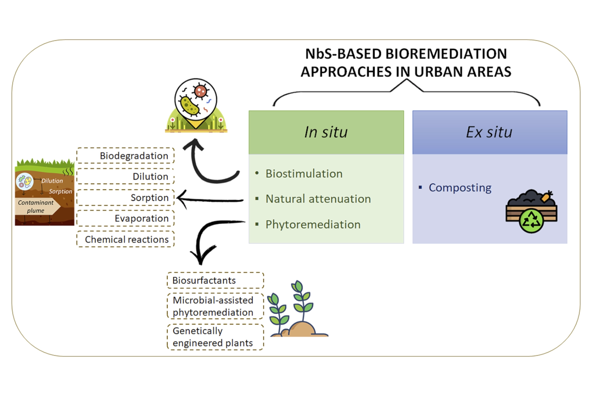 Project GINA studies cover – Nature-based solutions insights - Turning polluted urban soils into climate solutions